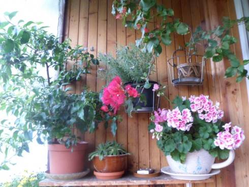 balkon 7 12 015.JPG