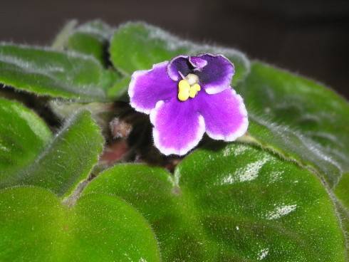 P1010179.JPG