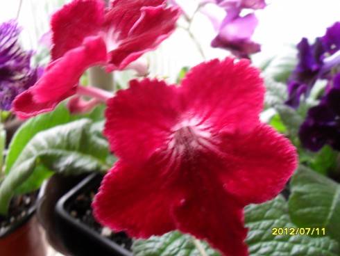červen 013.jpg