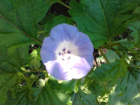 2012-07-06 14.28.34.jpg