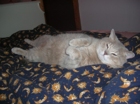 ráno1.jpg