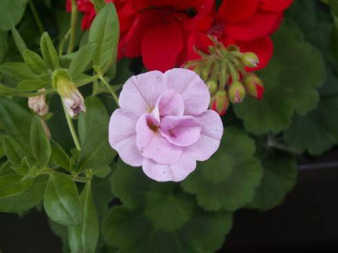 PICT0022.jpg