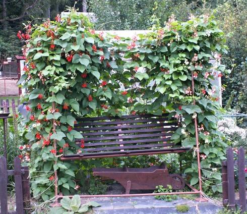 PICT0032.JPG