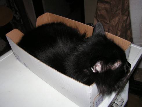 PICT0400.JPG