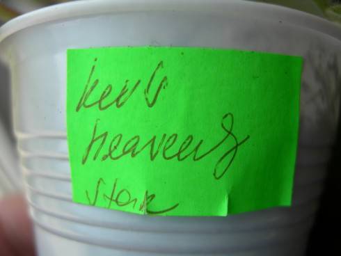 DSCN6371.JPG