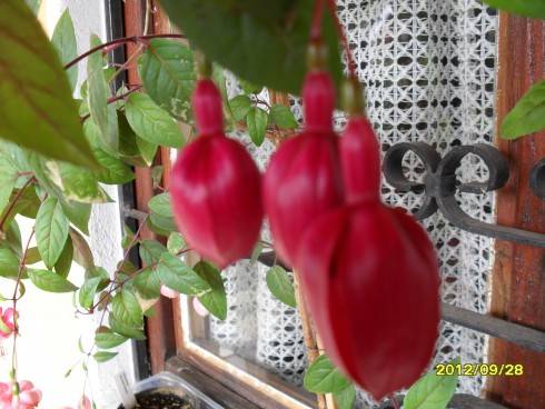 Švýcarsko 2012 281.jpg