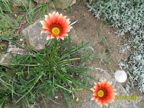 Švýcarsko 2012 285.jpg
