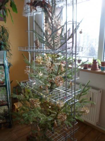 vanoce2012 003.JPG