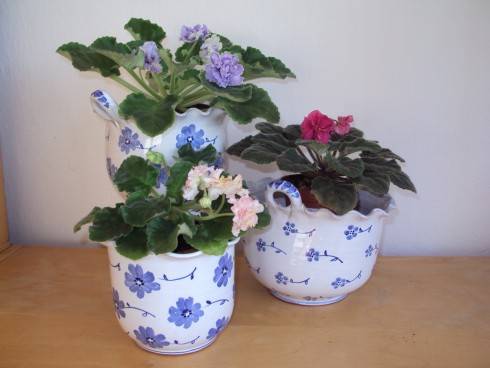 DSC09110.JPG
