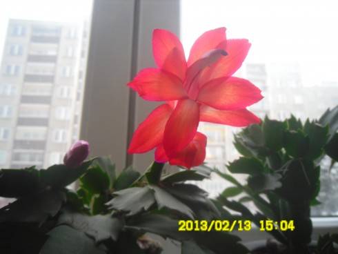 005.JPG