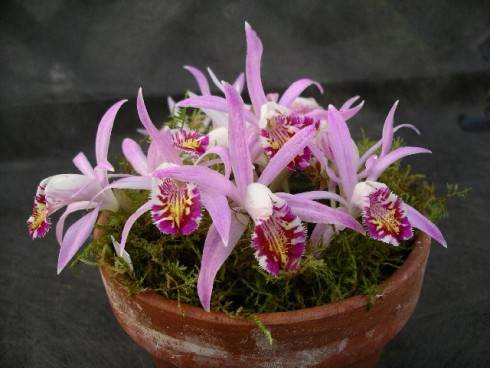 sizedoctober 09 0369207.jpg