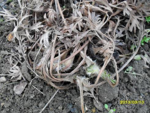 březen 2013 028.jpg