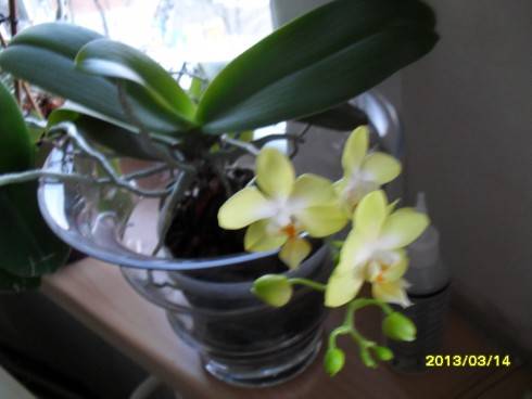 březen 2013 004.jpg