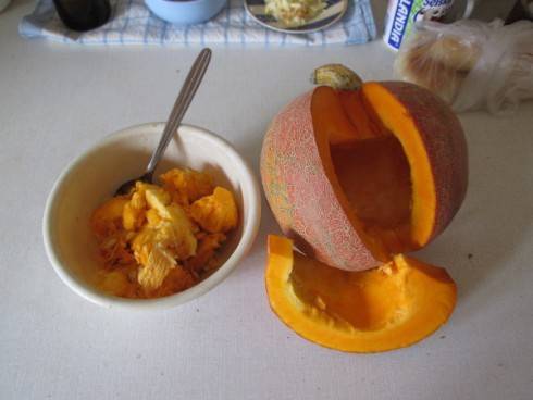 Dýně ovocná Pl.jpg