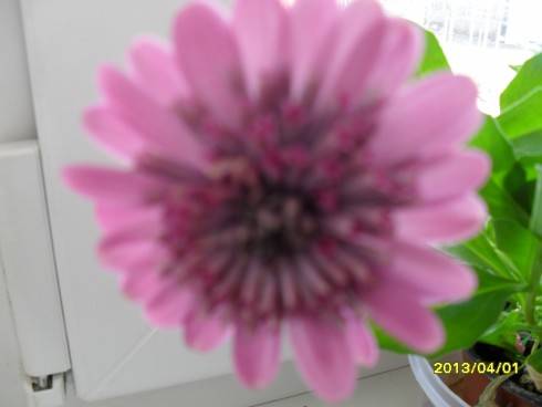 2012-2013 187.jpg