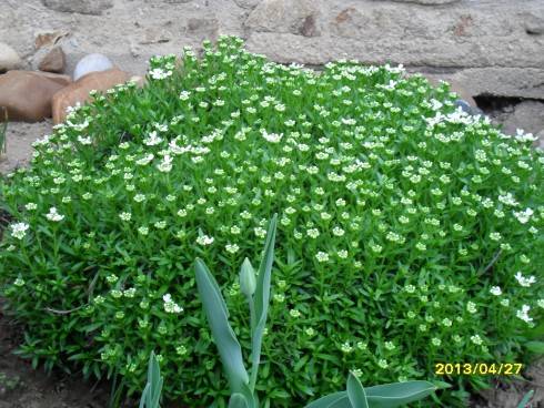 2012-2013 247.jpg