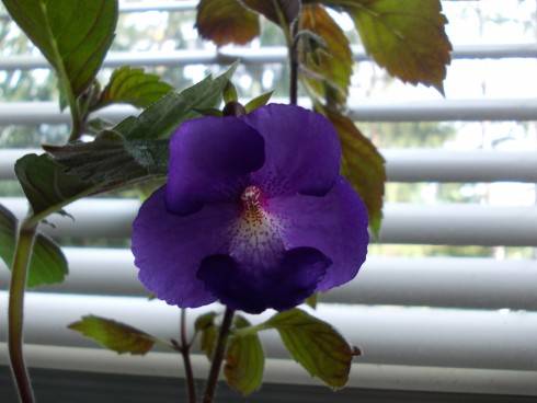 DSCN5357.JPG