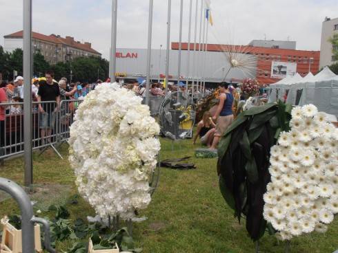 099.JPG