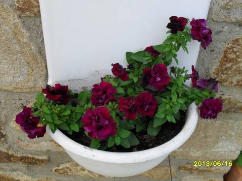 2012-2013 018.jpg