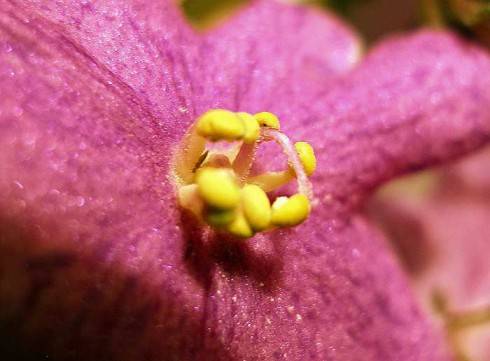 trips_1_175.jpg