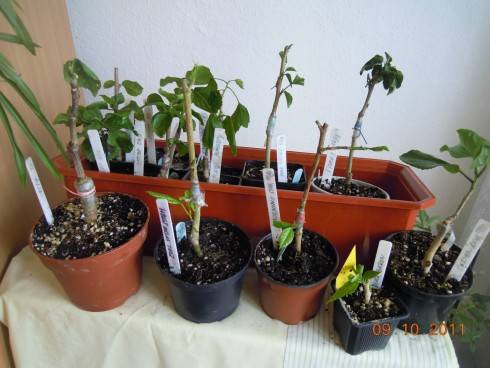 DSCN9546.JPG