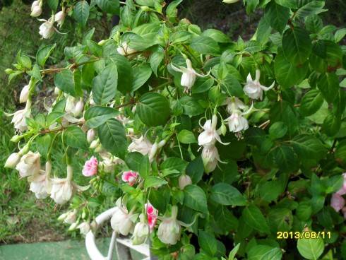 2012-2013 547.jpg