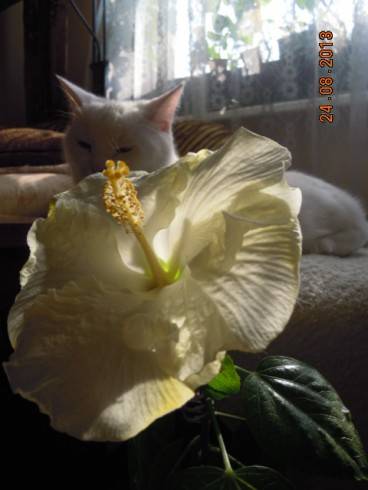 DSCN3032.JPG