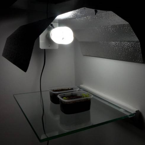 P1020930.jpg