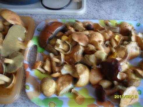 2012-2013 560.jpg