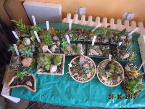 DSCN3755.JPG