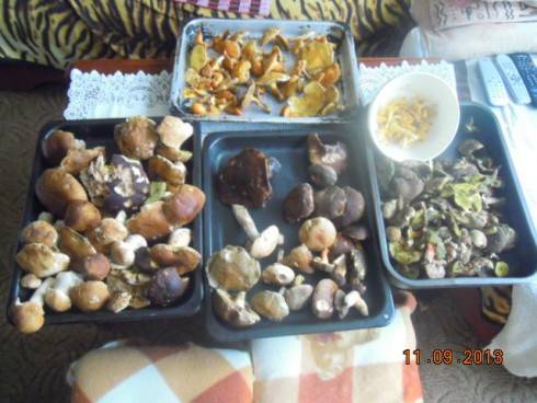 DSCN3329.JPG