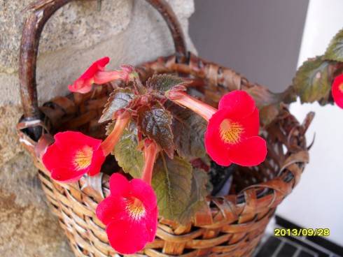 2012-2013 617.jpg