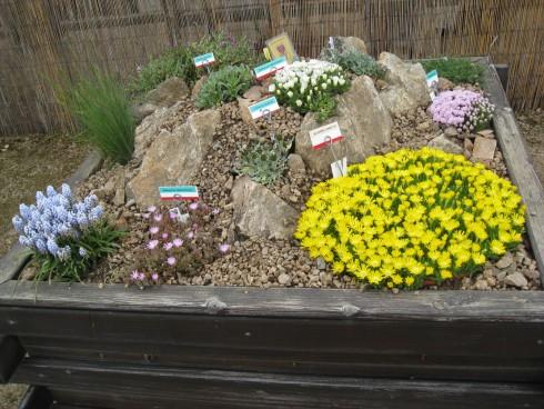 IMG_2121.JPG