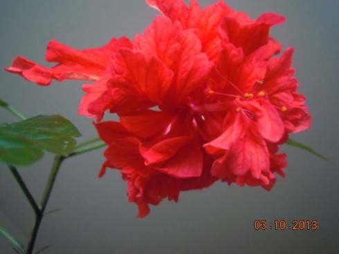 DSCN3852.JPG