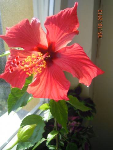 DSCN3879.JPG