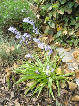 P5010043.jpg