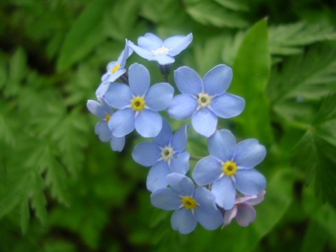 DSCN5561.JPG
