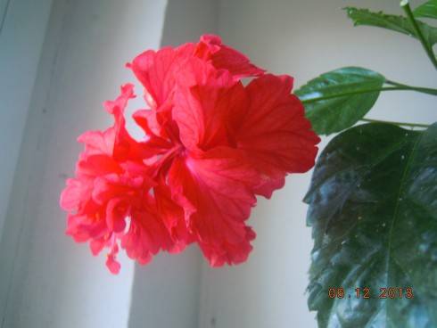 DSCN5320.JPG