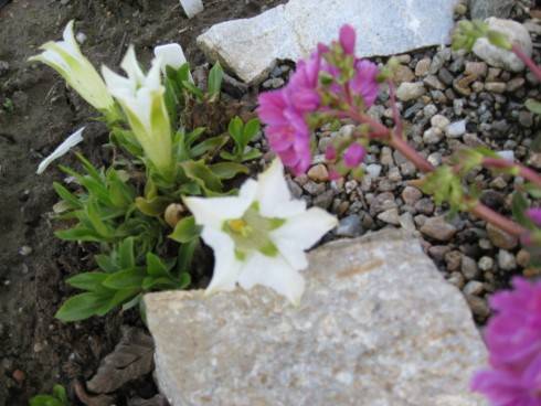 IMG_2162.JPG