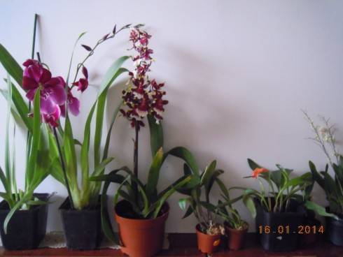 DSCN6256.JPG