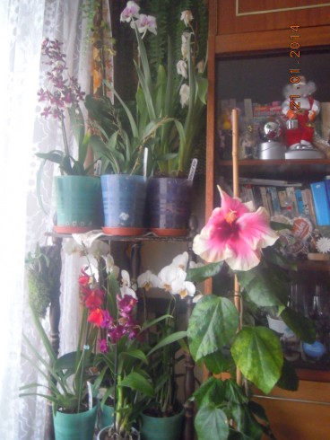 DSCN6506.JPG