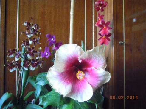 DSCN7069.JPG