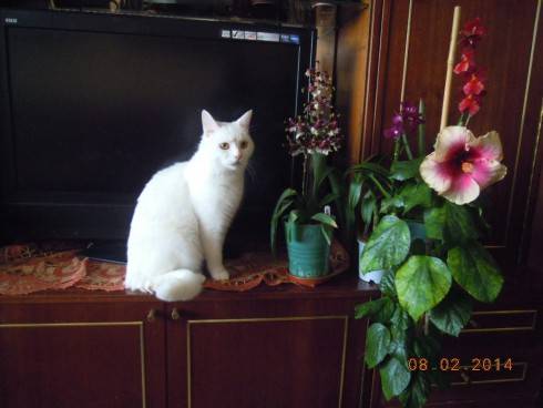 DSCN7103.JPG