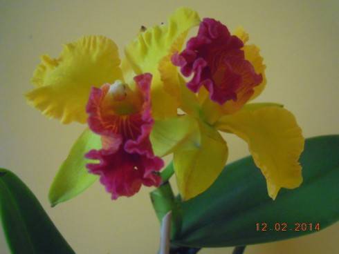 DSCN7200.JPG