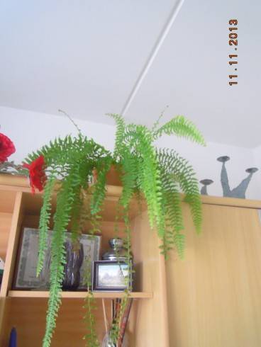 DSCN4591.JPG