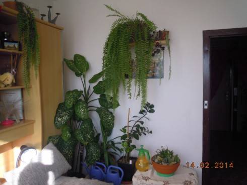DSCN7269.JPG