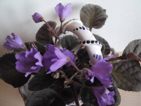Senk's Big Bells.jpg
