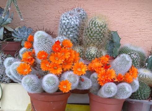 9jún2013 013.jpg