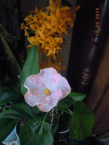 DSCN7992.JPG