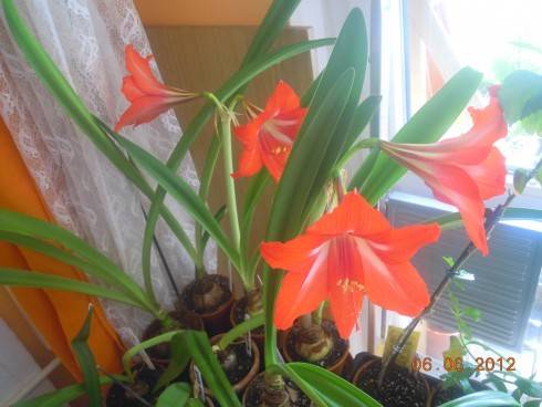 DSCN4324.JPG